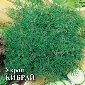 Семена Укроп Кибрай, 100г, Гавриш, Фермерское подворье