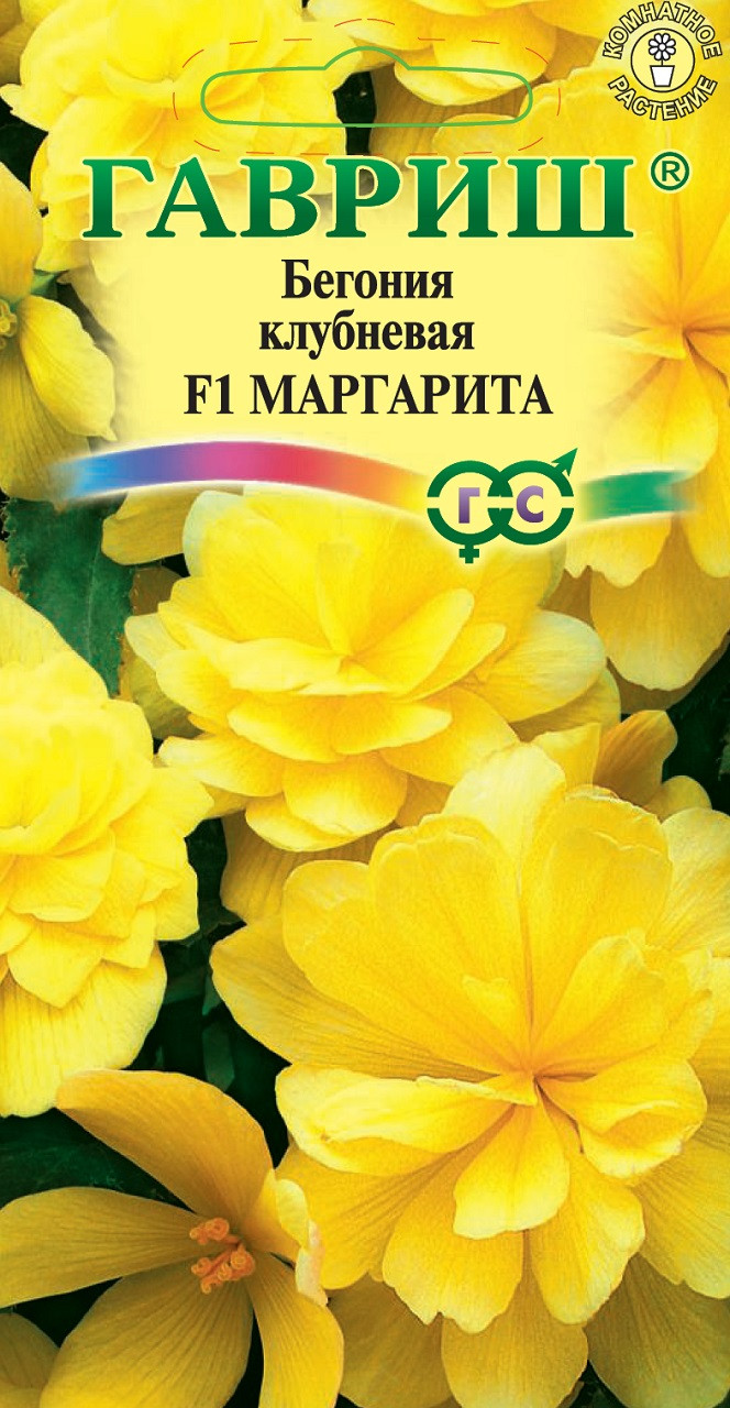 Семена Бегонии Декоративной Купить