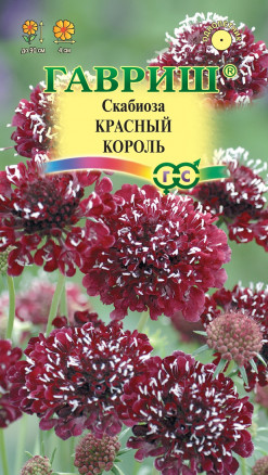Семена Скабиоза Красный король, 6шт, Гавриш, Цветочная коллекция