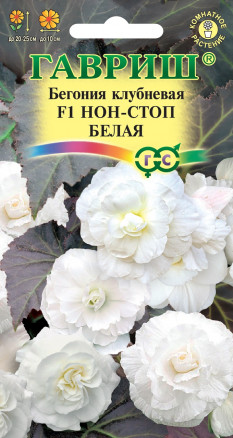 Семена Бегония клубневая Нон-стоп белая F1, 4шт, Гавриш, Цветочная коллекция