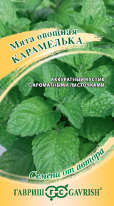Семена Мята Карамелька, 0,05г, Гавриш, Семена от автора
