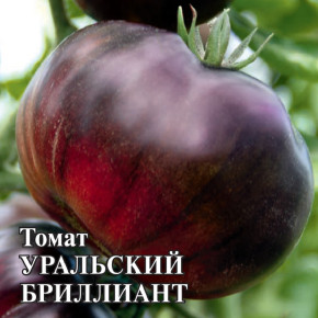 Семена Томат Уральский бриллиант, 100шт, Гавриш, Фермерское подворье