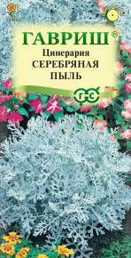 Семена Цинерария приморская Серебряная пыль, 0,1г, Гавриш, Цветочная коллекция
