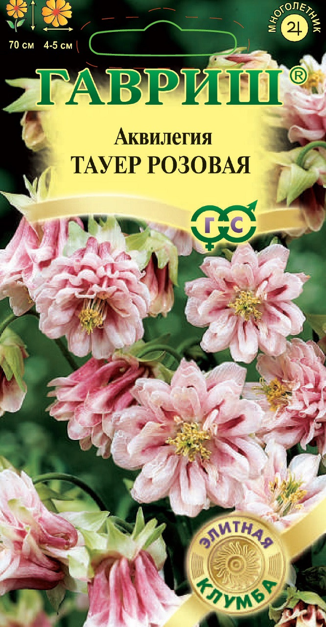 Аквилегия Купить