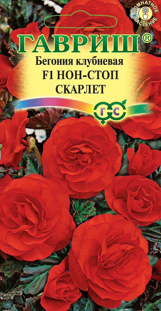Семена Бегония клубневая Нон-стоп Скарлет F1, 4шт, Гавриш, Цветочная ...