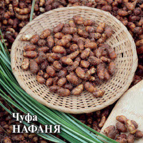 Семена Чуфа Нафаня, 100г, Гавриш, Фермерское подворье