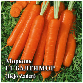 Семена Морковь Балтимор F1, 10г, Гавриш, Фермерское подворье, Bejo