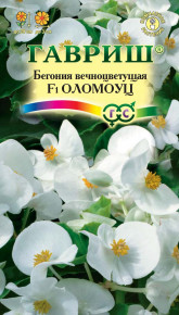 Семена Бегония вечноцветущая Оломоуц F1, 5шт, Гавриш, Цветочная коллекция