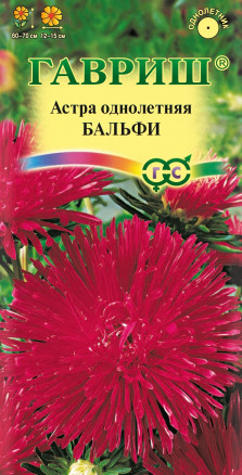 Семена Астра Бальфи, игольчатая, 0,3г, Гавриш, Цветочная коллекция