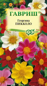 Семена Георгина Пикколо, смесь, 0,3г, Гавриш, Цветочная коллекция