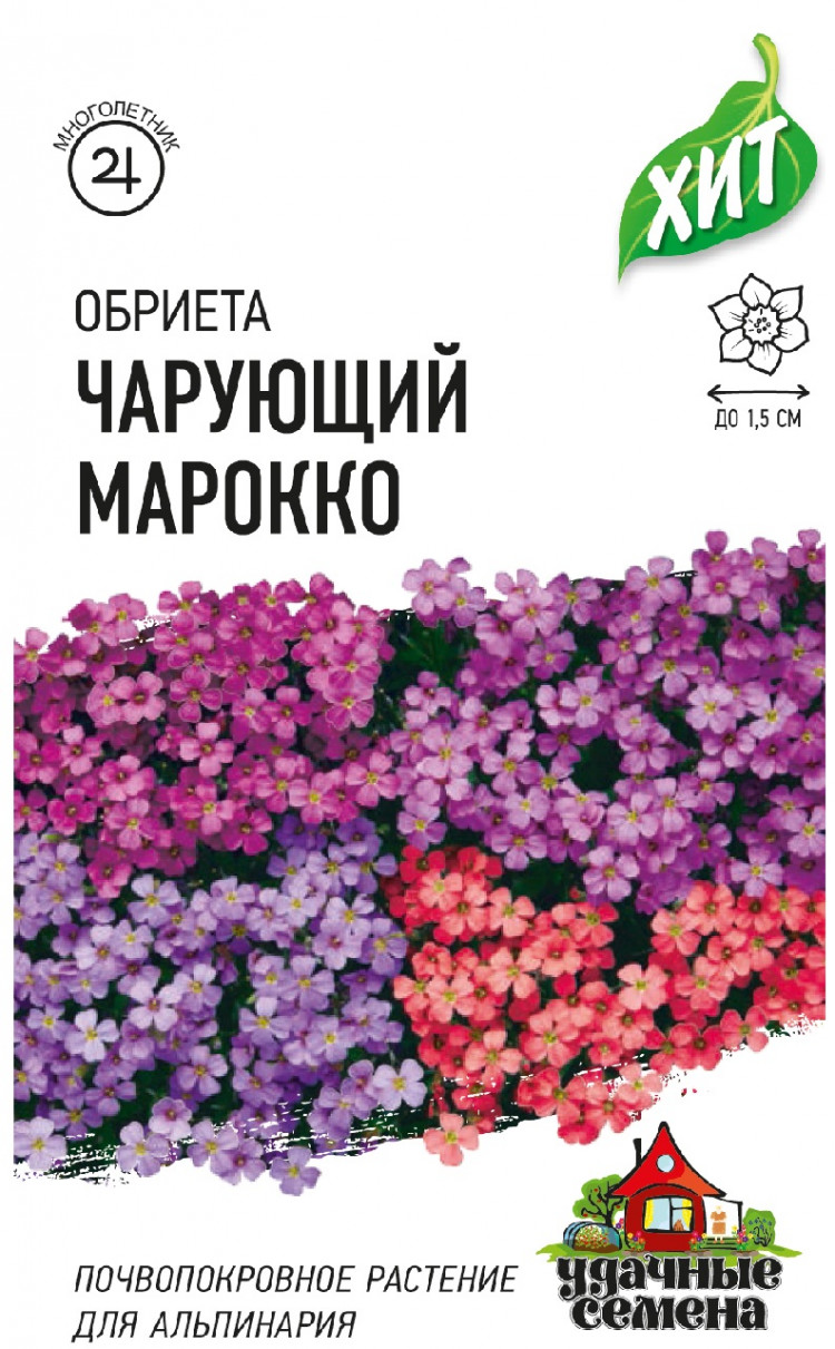 обриета марокко