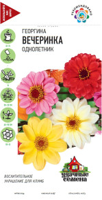 Семена Георгина Вечеринка, 0,3г, Удачные семена