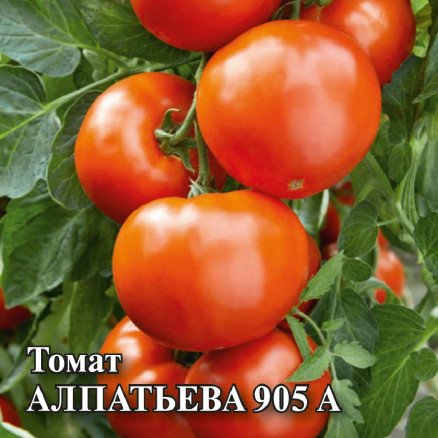 Семена Томат Алпатьева 905 А, 25г, Гавриш, Фермерское подворье
