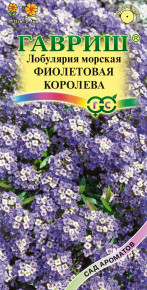 Семена Лобулярия Фиолетовая королева, 0,2г, Гавриш, Сад ароматов