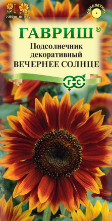 Семена Подсолнечник декоративный Вечернее солнце, 0,5г, Гавриш, Цветочная коллекция