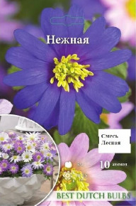 Анемона Нежная (Anemone Blanda Mixed), смесь, 10шт, Color Line