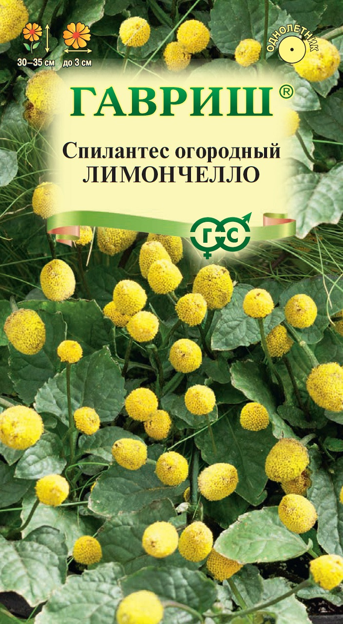 ✓ Семена Спилантес огородный Лимончелло, 0,1г, Гавриш, Цветочная коллекция  по цене 42 руб. ◈ Большой выбор ◈ Купить по всей России ✓ Интернет-магазин  Гавриш ☎ 8-495-902-77-18