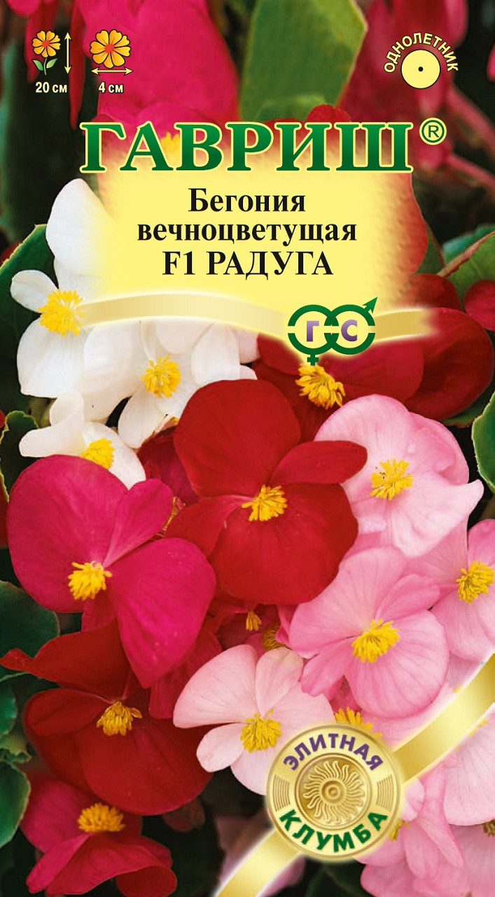 Семена Бегонии Декоративной Купить