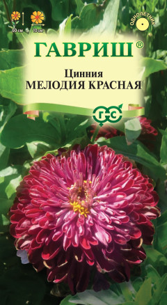 Семена Цинния Мелодия красная, 0,3г, Гавриш, Цветочная коллекция