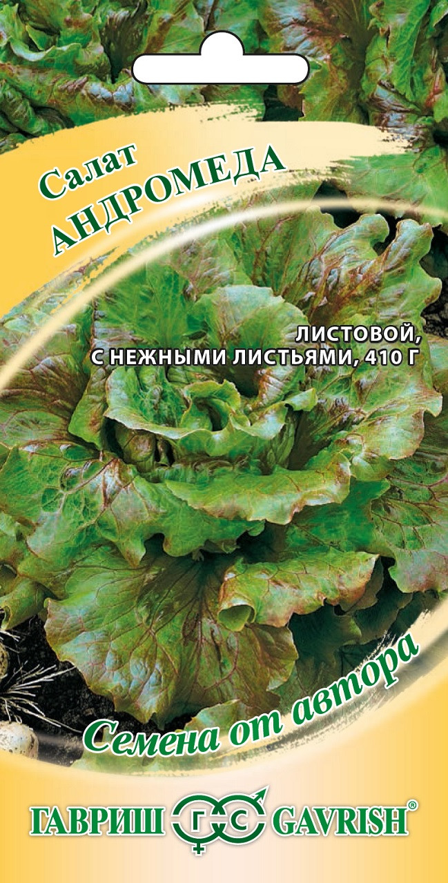 ✓ Семена Салат листовой Андромеда, 0,5г, Гавриш, Семена от автора по цене  23,80 руб. ◈ Большой выбор ◈ Купить по всей России ✓ Интернет-магазин  Гавриш ☎ 8-495-902-77-18