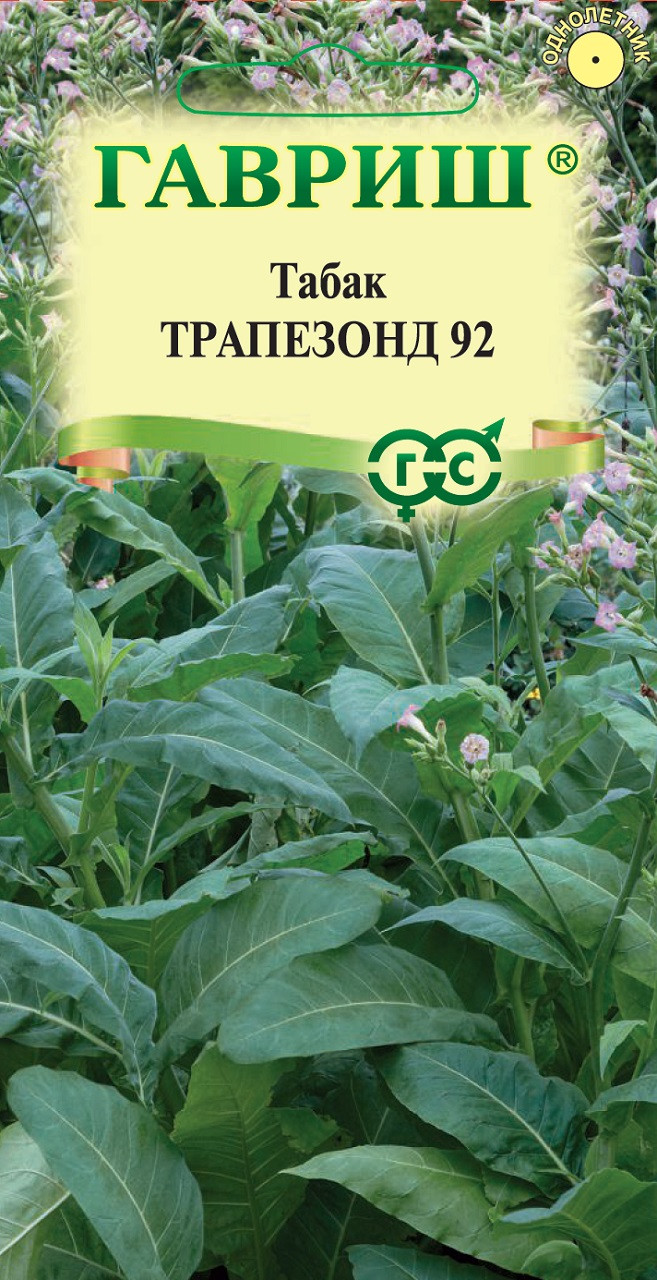 Купить Семена Табак Курительный Цветущий Сад