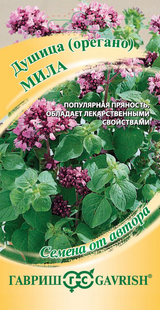 Где Купить Масло Душица