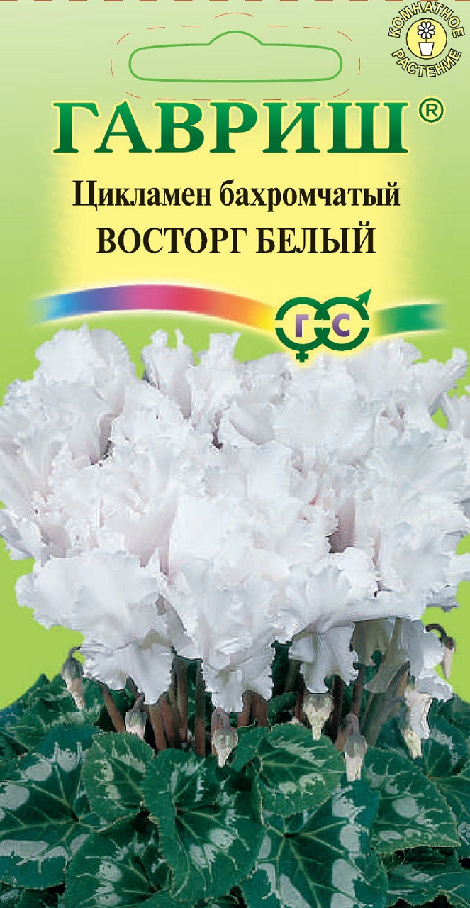 Купить Семена Цикламена Недорого