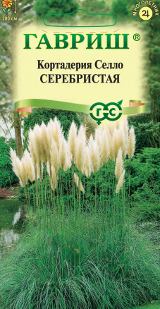 Семена Кортадерия (Пампасная трава) серебристая, 0,01г, Гавриш, Цветочная коллекция