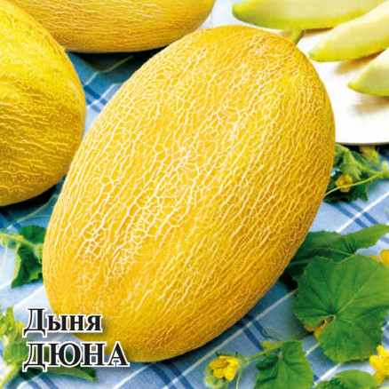 Семена Дыня Дюна, 25г, Гавриш, Фермерское подворье