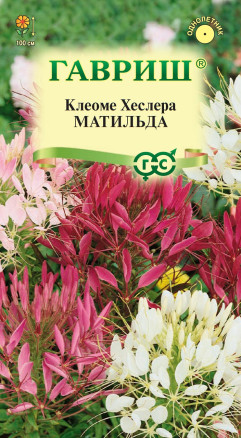 Семена Клеома Матильда, смесь, 0,2г, Гавриш, Цветочная коллекция