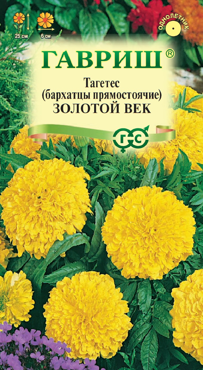 Бархатцы: когда сажать и пикировать рассаду в году, пикировка пошагово с фото