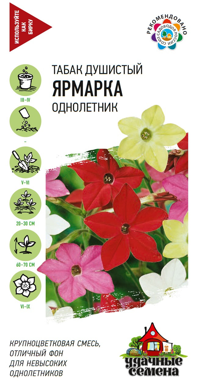 Сем Пасленовые Solanaceae табак крылатый Nicotiana alata