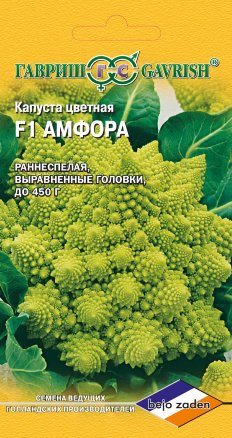 Семена Капуста цветная Амфора, 0,2г, Гавриш, Ведущие мировые производители, Bejo