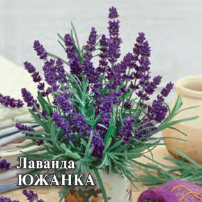 Семена Лаванда узколистная Южанка, 100шт, Гавриш, Фермерское подворье