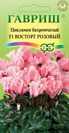 Семена Цикламен персидский Восторг розовый F1, 3шт, Гавриш. Цветочная коллекция