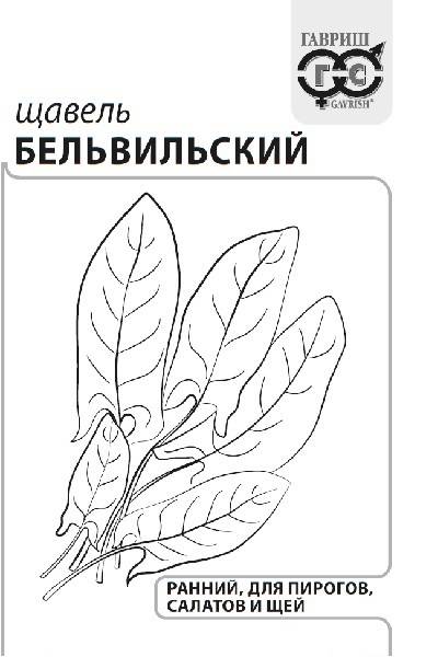 Semena Shavel Belvilskij 0 2g Gavrish Belye Pakety Po Cene 11 20 Rub Bolshoj Vybor Kupit Po Vsej Rossii Internet Magazin Gavrish 8 495 902 77 18