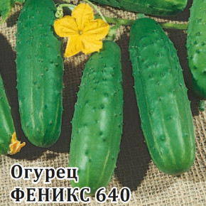 Семена Огурец Феникс 640, 10г, Гавриш, Фермерское подворье