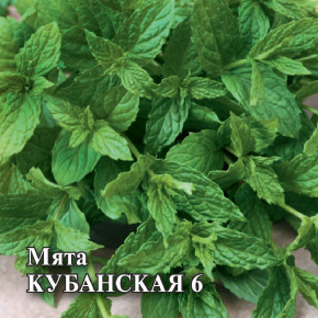 Семена Мята Кубанская 6, 10 000 шт., Гавриш, Фермерское подворье