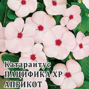 Семена Катарантус Пацифика XP Априкот, 100шт, Гавриш, Цветы для профессионалов