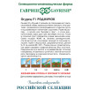 Семена Огурец Родничок F1, 25г, Гавриш, Фермерское подворье