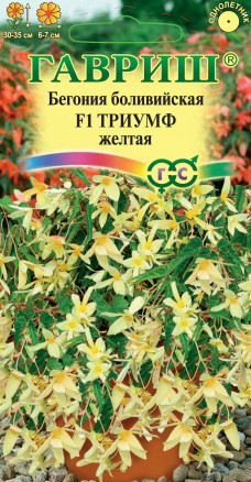 Семена Бегония боливийская Триумф желтая F1, 5шт, Гавриш, Цветочная коллекция
