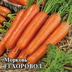 Семена Морковь Хоровод, 25г, Гавриш, Фермерское подворье