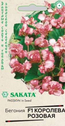 Семена Бегония вечноцветущая Королева розовая F1, 4шт, Гавриш, Элитные сорта и гибриды, Sakata
