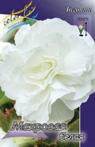 Бегония Махровая Белая (Begonia Double White), 2шт, Color Line