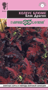 Семена Колеус Блюме Блэк Драгон, 4шт, Гавриш