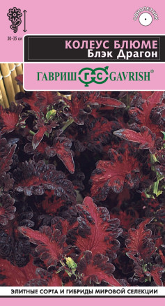 Семена Колеус Блюме Блэк Драгон, 4шт, Гавриш