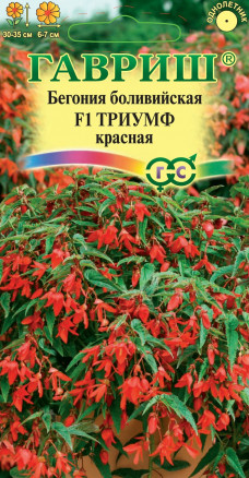 Семена Бегония боливийская Триумф красная F1, 5шт, Гавриш, Цветочная коллекция