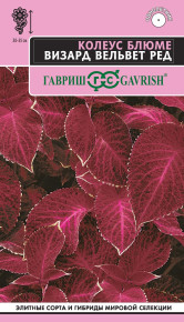 Семена Колеус Блюме Визард Вельвет Ред, 4шт, Гавриш