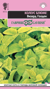 Семена Колеус Блюме Визард Голден, 4шт, Гавриш