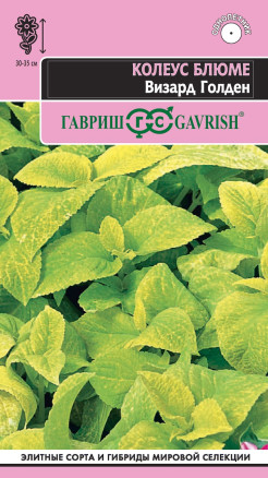 Семена Колеус Блюме Визард Голден, 4шт, Гавриш